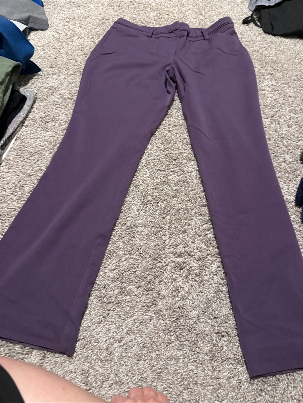 New York & Company Plum Boot-Cut Pants